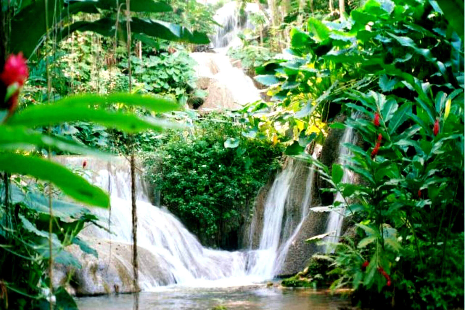 ocho-rios-dunns-river-falls3